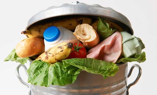 What can you do to waste less food?