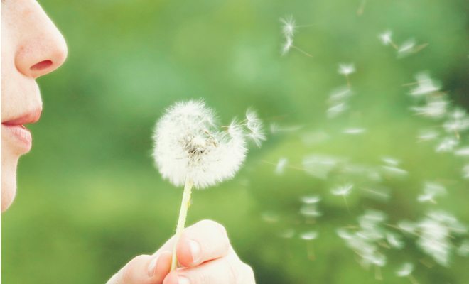 5 foods to combat hay fever