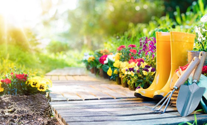Why you should try gardening this summer