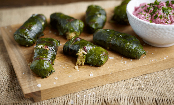 Beet-leaf dolmades with beetroot and walnut tzatziki